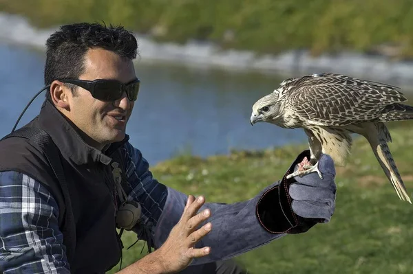 RAPICCA Animal Handling Gloves Bite Proof Kevlar Reinforced Leather Padding Dog, Cat Scratch, Bird Handling Falcon Gloves Grabbing