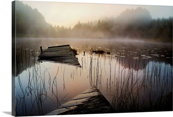 in The Misty Morning - Canvas Wall Art, 30x20, Great Big Canvas