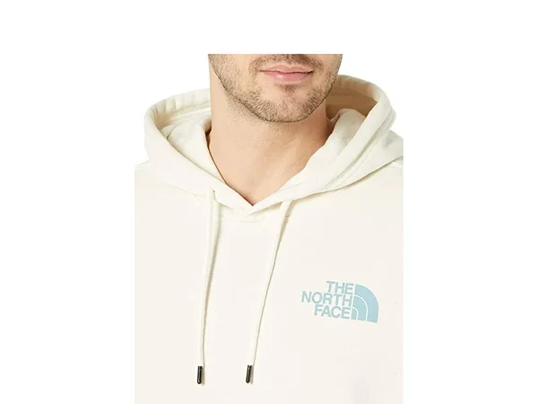 The North Face Men's Box NSE Pullover Hoodie