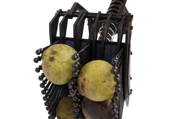 Stab-A-Nut Black Walnut Harvester