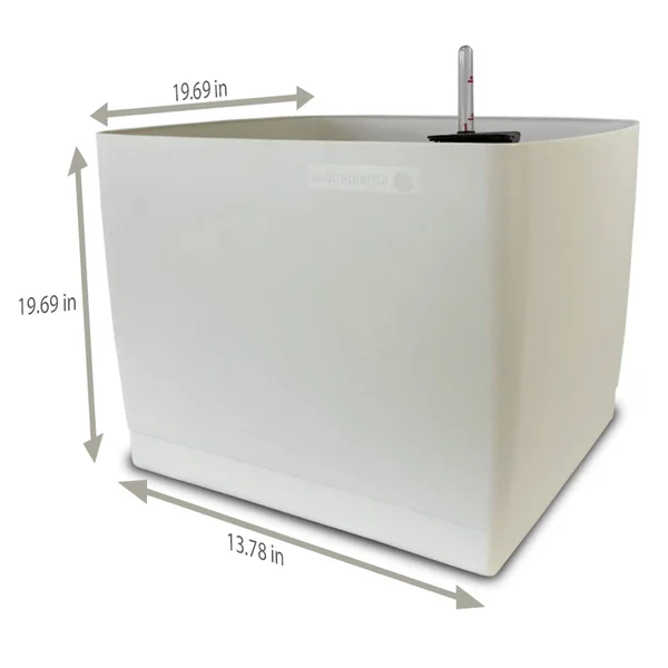 Floridis Acquaplanta 13.78-Inch Natural Self-Watering Wall Planter - White