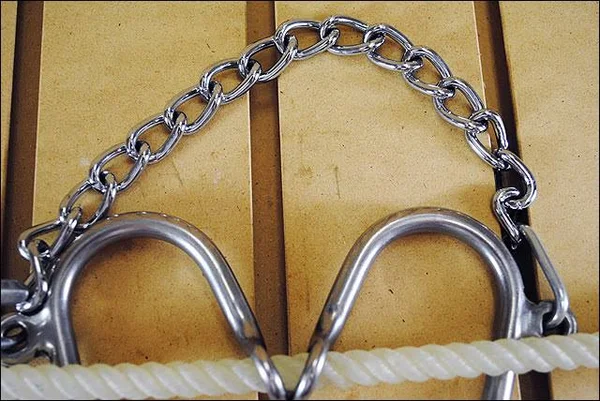 Reinsman Little S Hackamore