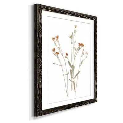 Pressed Botanical I - Print Gracie Oaks Frame Color: Black - Size: 32x22 H x 23x22 W x 1x22 D
