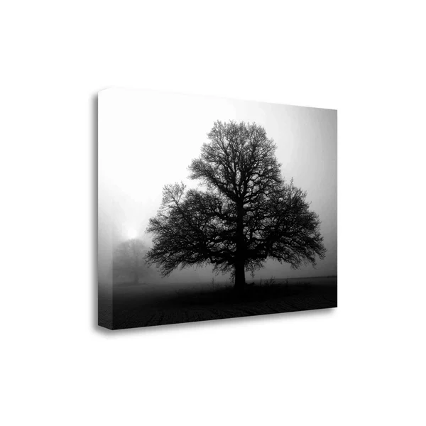 Tangletown Fine Art Tree in Mist 2x22 by PhotoINC Studio, Giclee Print on Gallery Wrap Canvas, 32x21x22