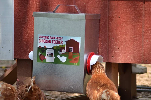 25lb Outdoor Rainproof Galvanized Chicken Feeder 20 LITER Capacity