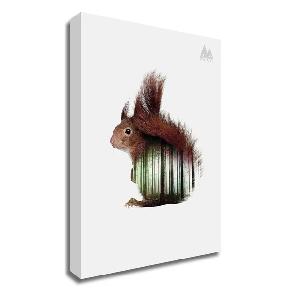 Tangletown Fine Art 26x22 x 18x22 Squirrel by Clean Nature Print on Canvas