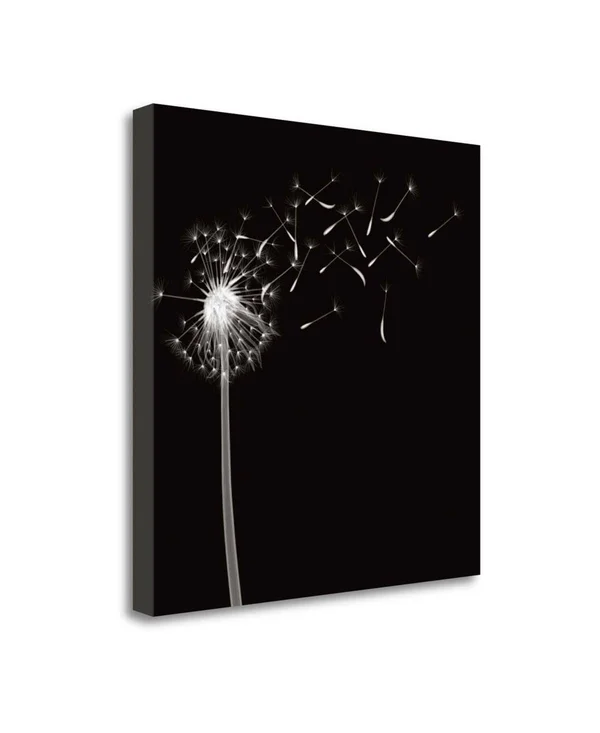 25x22 x 25x22 Into The Night II by Jim Wehtje Fine Art Giclee Print