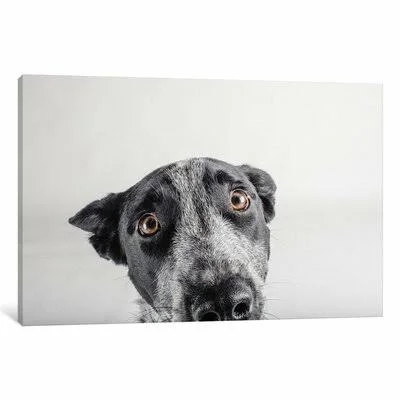 &Blue Zuck& Photographic Print on Canvas East Urban Home Size: 12x22 H x 18x22 W x 0.75x22 D