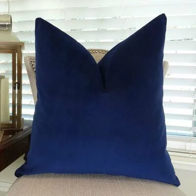 Frazee Designer Luxury Pillow Thomas Collection Fill Material: Insert Option: H-allrgnc Polyfill