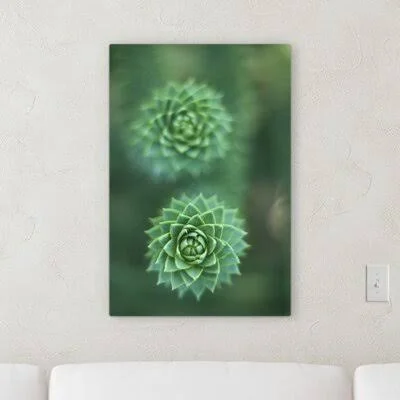&Succulent& Graphic Art Print on Canvas Dakota Fields Size: 24x22 H x 18x22 W x 2x22 D