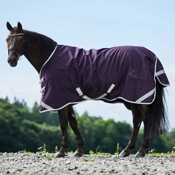 Horze Turin Lightweight Turnout Blanket 50g - Petrol Blue