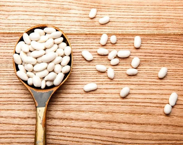 Organic Cannellini Beans by Food to Live (Raw - Dried, Non-GMO, White Kidney Beans in Bulk, Product of The USA) 15 Pounds