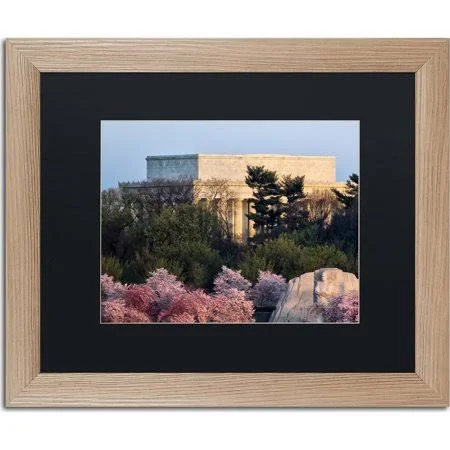 &Washington Spring Morning& by CATeyes Framed Photographic Print - Matte Color: Black - Size: 16x22 H x 20x22 W x 0.5x22 D, Trade