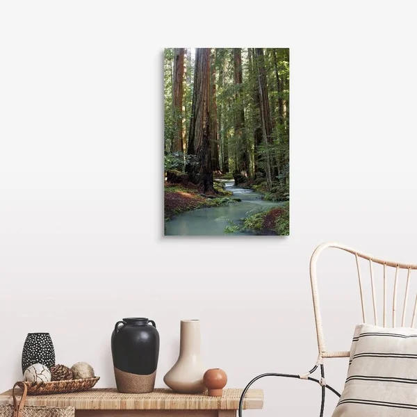 Redwood Forest III - Large Solid-Faced Canvas Wall Art Print, Great Big Canvas