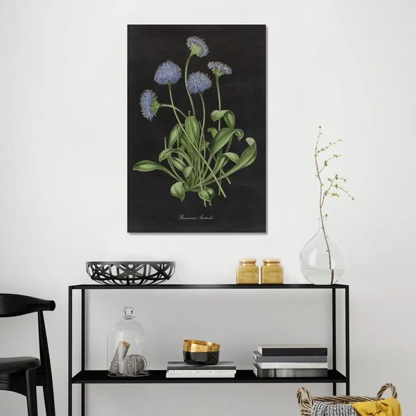 iCanvas Canvases Multi - Wild Apple Portfolio Botanical Chart VII Wrapped Canvas