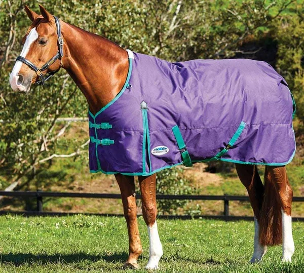 Weatherbeeta ComFiTec Essential Standard Neck Medium