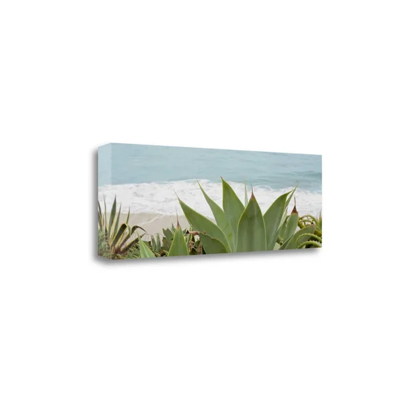 Tangletown Fine Art Untitled by Alan Blaustein, Fine Canvas Art