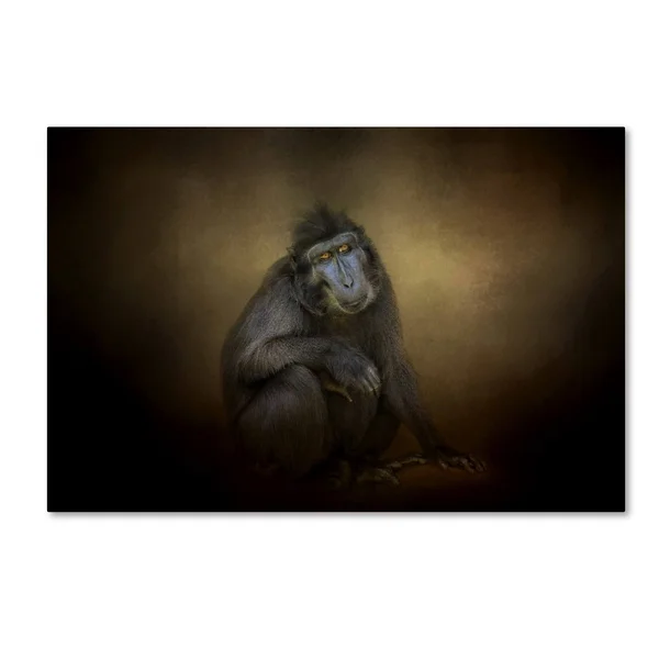 Trademark Art Jai Johnson 'Portrait of A Savannah Baboon' Canvas Art