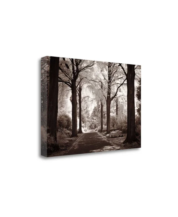 20x22 x 29x22 Arcadia by ILY Szilagyi Fine Art Giclee Print