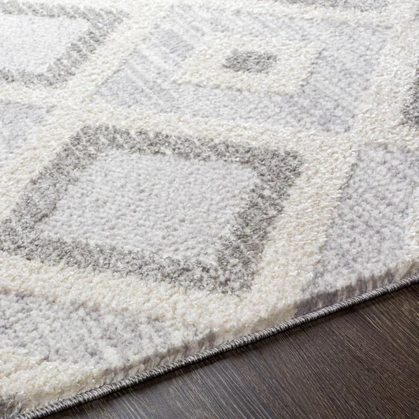 Valencia (Vlc-2312) - 6& 7x22 x 9& Rug