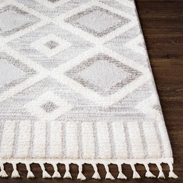 Valencia (Vlc-2312) - 6& 7x22 x 9& Rug