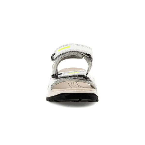 Ecco Offroad Women's Flat Sandal Multicolor, Silver Metallic, 39, M