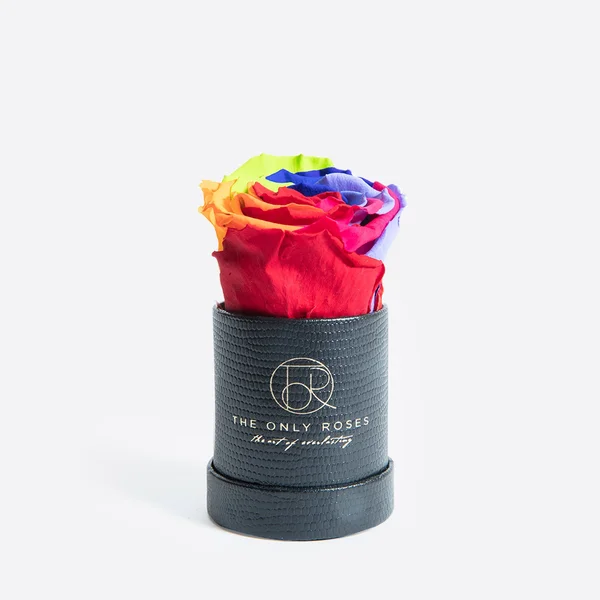 Single Rainbow Everlasting Preserved Rose in Leather Petite Round Shaped Rose Box, Rose Hat Box, Preserved Rose, Forever Roses, E