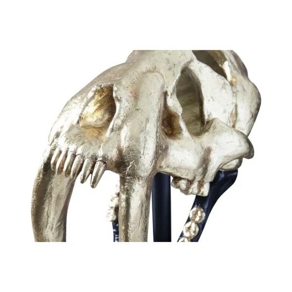 Phillips Collection Saber Tooth Tiger Skull - Black, Gold Leaf