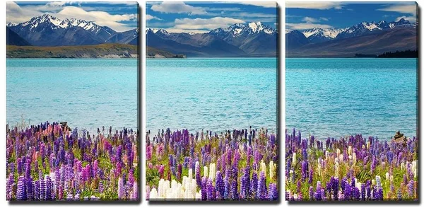 Wall26 - 3 Piece Canvas Wall Art - Lake Tekapo - South Island, New Zealand - Modern Home Decor Stretched and Framed Ready to Hang