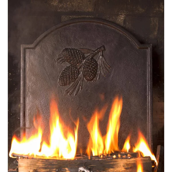 Plow & Hearth 66A88 Cast Iron Fireback, Pine Cone Design