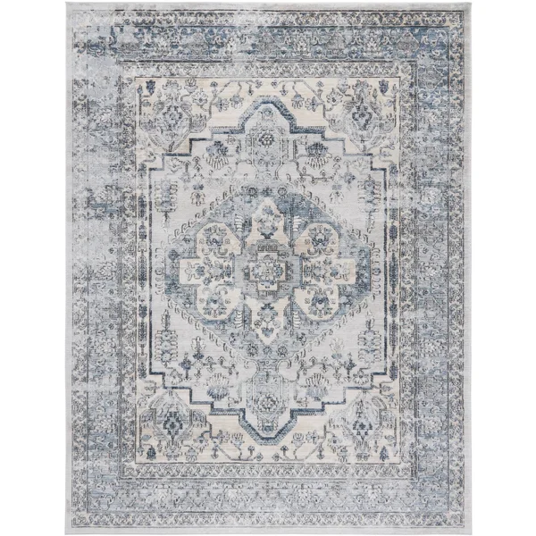 Safavieh Oregon Rug Collection ORE877M - Light Blue - Ivory - 8& x 10&