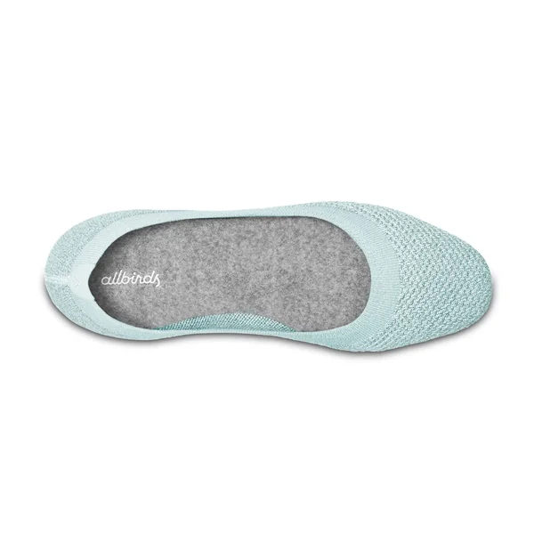 Allbirds Women's Tree Flats, Frost, Size 5