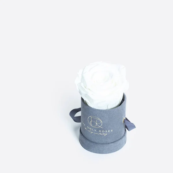 The Only Roses - Petite Round Gray Suede Hat Box with Single White Everlasting Preserved Rose