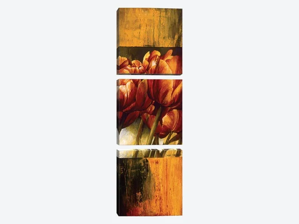 Linda Thompson Canvas Art Prints - Floral Radiance I ( Floral & Botanical > Flowers > Tulips art)