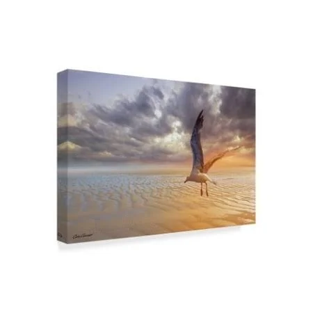 Trademark Fine Art 'Soft Sunrise on The Beach 4' Canvas Art by Carlos Casamayor, Size: 30 x 47