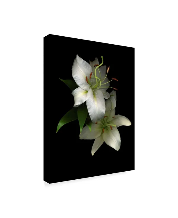 Trademark Art Susan S. Barmon 'White Lilies 2' Canvas Art