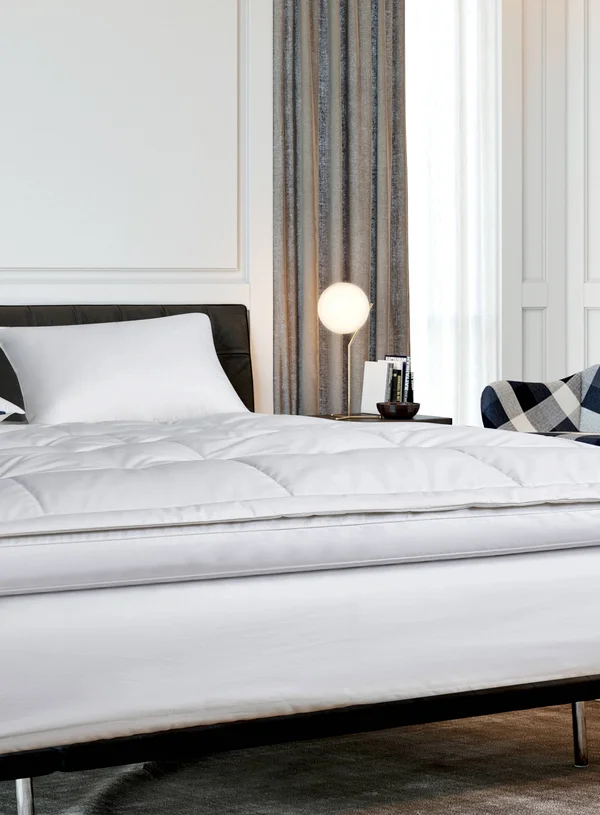 Serta 2x22 Feather and Down Fiber Top Featherbed, Queen - White