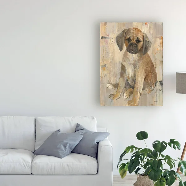 Trademark Fine Art 'Paco' Canvas Art by Albena Hristova - Size: 18 x 24