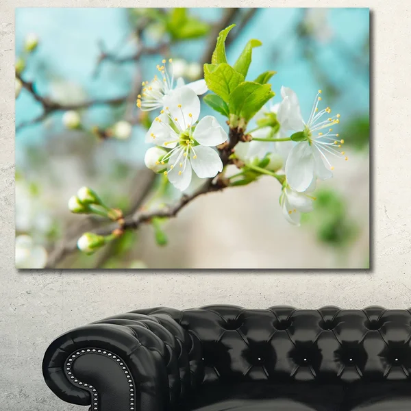 Designart 'Beautiful Cherry Blossom N Spring' Modern Floral Large Canvas Art - 40 in. Wide x 30 in. High