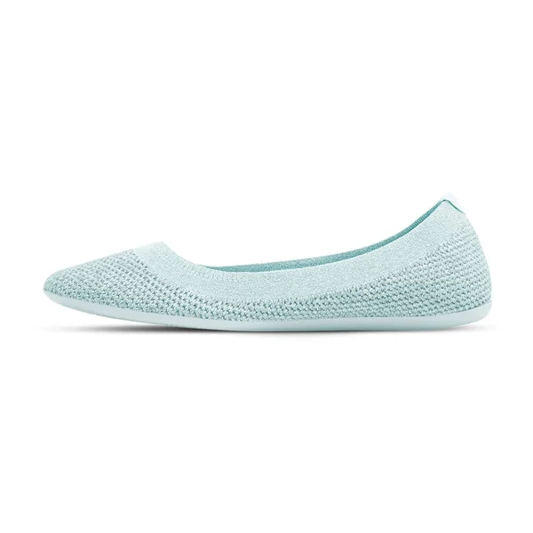 Allbirds Women's Tree Flats, Frost, Size 5