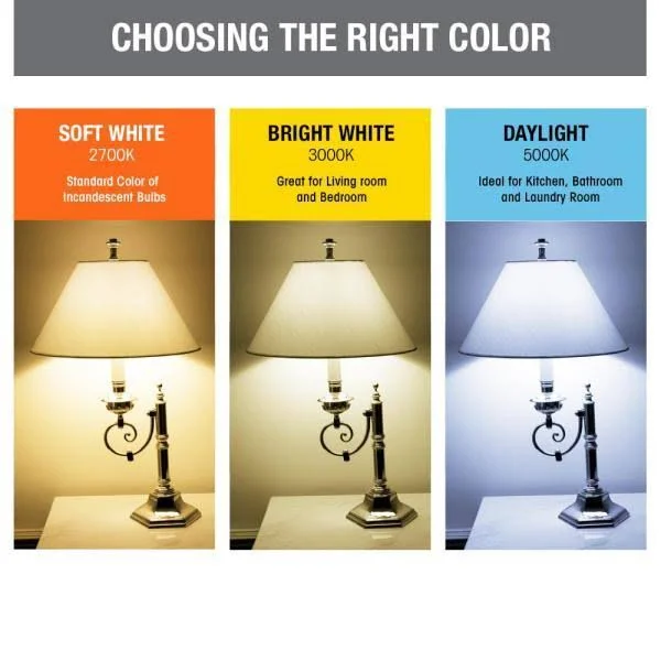 Feit Electric 25-Watt Equivalent (2700K) B10 Dimmable Filament LED Clear Glass Light Bulb, Soft White (12-Pack)