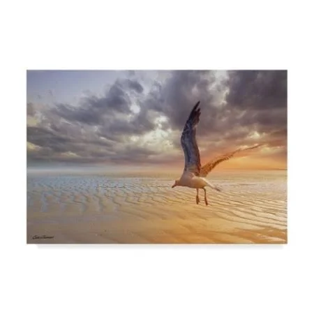 Trademark Fine Art 'Soft Sunrise on The Beach 4' Canvas Art by Carlos Casamayor, Size: 30 x 47