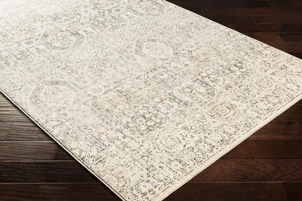 Parkerfield 8&10x22 x 12& Traditional Area Rug - Hauteloom