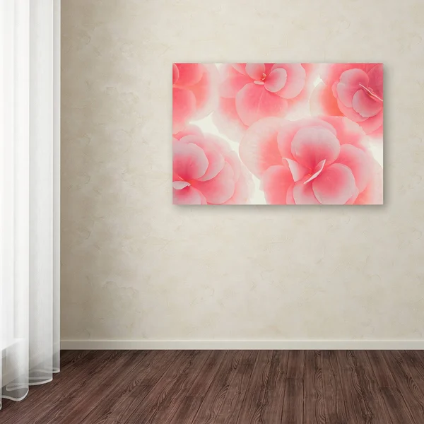 Trademark Fine Art Rose Begonia Flowers by Cora Niele - 22x32-Inch Canvas Wall Art