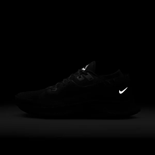 Nike Pegasus Trail 2 Gore-Tex Black