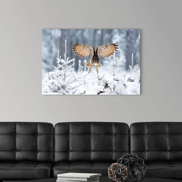 Eurasian Eagle-Owl, Canvas Wall Art, 36x24, Great Big Canvas