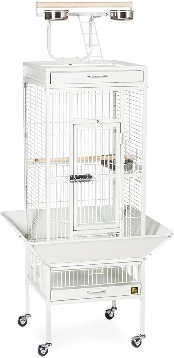 Prevue Wrought Iron Bird Cage Chalk White