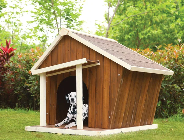 Acme Rylee Pet House, Cream & Oak