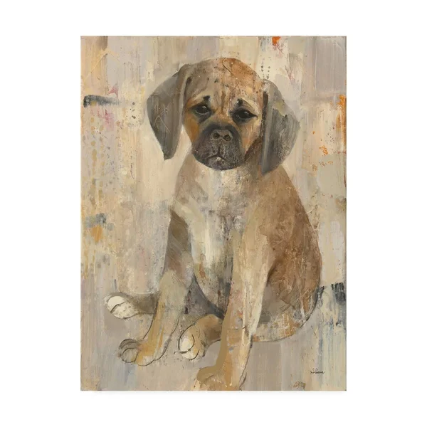 Trademark Fine Art 'Paco' Canvas Art by Albena Hristova - Size: 18 x 24