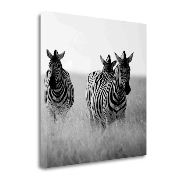 Tangletown Fine Art Rendezvous I by Nina Papiorek, Giclee Print on Gallery Wrap Canvas, 34x22x34x22